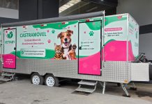São Joaquim avança no controle populacional de cães e evita nascimento de cerca de 400 filhotes em um único mutirão