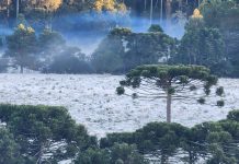Intensa massa de ar polar avança pelo Sul e pode provocar geada forte e até -7°C