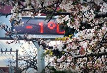 Geada marca 7 de Setembro na Serra; São Joaquim registra menor temperatura para setembro em 72 anos