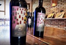 Villa Francioni celebra 25 anos e reforça legado pioneiro dos vinhos de altitude na Serra Catarinense