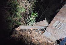 Árvore cai sobre duas residências após tentativa de corte e deixa casas interditadas em Lages