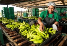 MEIs de São Joaquim podem buscar orientação gratuita na campanha Regularize até quarta-feira