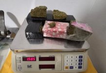 Mais de 2 quilos de maconha são apreendidos durante ocorrência em Lages