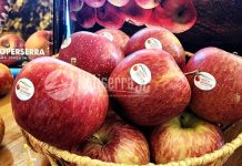 Terça-feira é Dia da Maçã no Empório Cooperserra