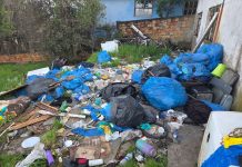 Fiscalização encontra residência em condições insalubres e cães em situação preocupante em São Joaquim