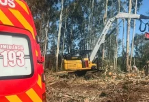 Jovem de 23 anos morre após acidente com toras de eucalipto na Serra Catarinense