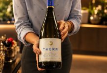 Sauvignon Blanc da Vinícola Thera eleito Melhor Vinho Branco catarinense no Guia Adega 2027