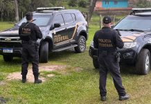 Polícia Federal investiga esquema de extração ilegal de madeira em Santa Catarina.