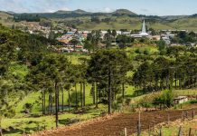 Homem é preso por suspeita de tráfico de drogas e posse irregular de munição em Bom Jardim da Serra