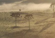 Serra Catarinense registra nova geada nesta terça-feira (20) com temperaturas próximas de 0°C