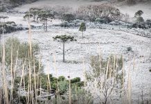 Frio volta com força a Santa Catarina e Serra pode registrar 0°C e geada neste domingo e segunda-feira